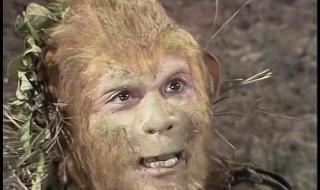 闪烁之光辅助英雄排行 闪烁之光孙悟空皮肤