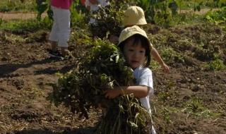 农村一个村委会可申请办几个幼儿园 农村幼儿园招生简章